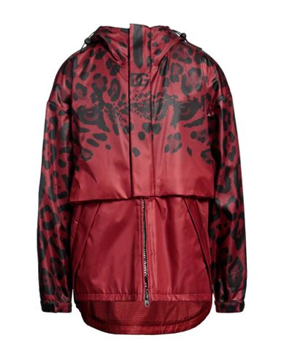 Shop Dolce & Gabbana Man Jacket Brick Red Size 48 Cotton, Polyester