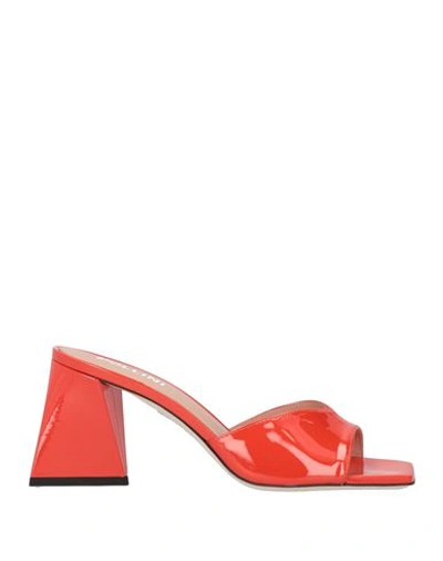 Shop Pollini Woman Sandals Tomato Red Size 8 Calfskin