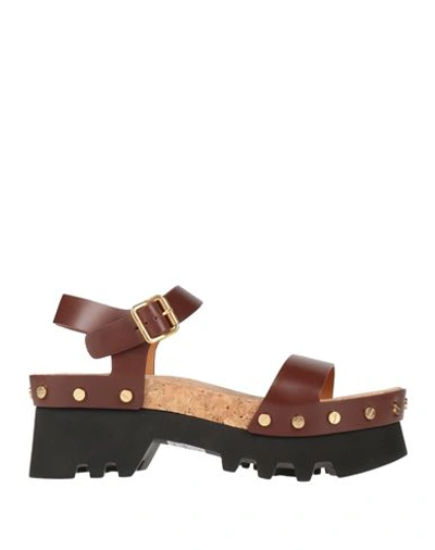 Shop Chloé Woman Sandals Cocoa Size 11 Leather In Brown