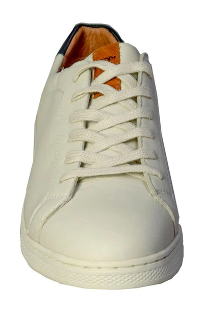Shop Sandro Moscoloni Franca Sneaker In White
