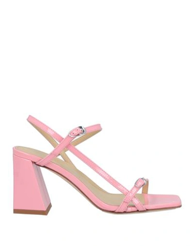 Shop Aeyde Aeydē Woman Sandals Pink Size 8 Calfskin