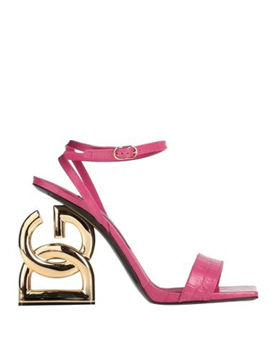 Shop Dolce & Gabbana Woman Sandals Magenta Size 5.5 Soft Leather