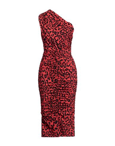 Shop Dolce & Gabbana Woman Midi Dress Red Size 8 Polyamide, Elastane