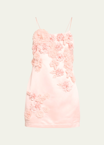Shop Loveshackfancy Mensa Floral Appliqué Mini Dress In Rose Champagne