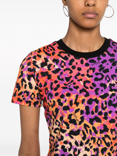 Shop Just Cavalli T-shirts And Polos In Pink