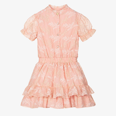 Shop Le Chic Girls Pale Pink Embroidered Chiffon Dress