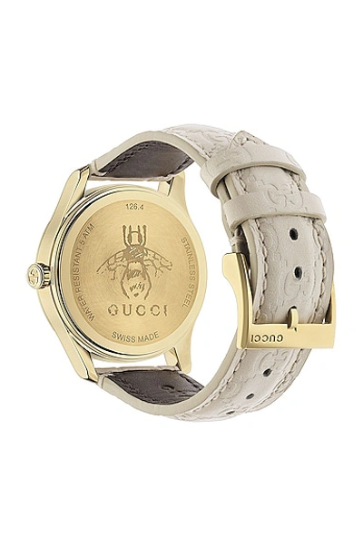 Shop Gucci Leather Signature Strap Watch In Ivory