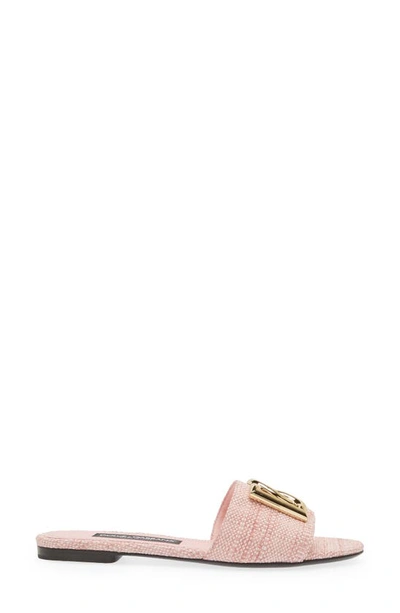 Shop Dolce & Gabbana Dg Logo Raffia Slide Sandal In Light Pink