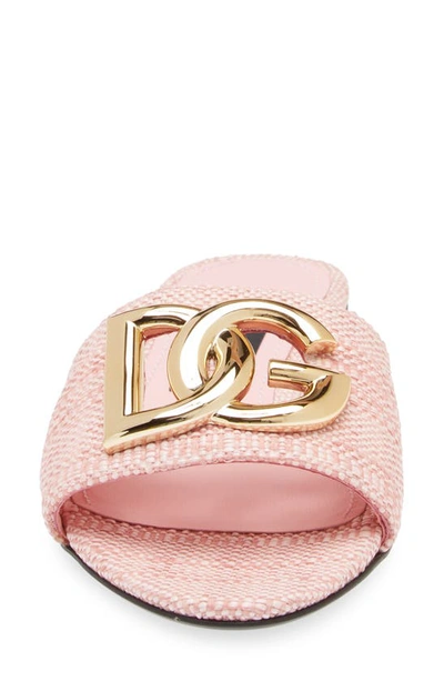 Shop Dolce & Gabbana Dg Logo Raffia Slide Sandal In Light Pink