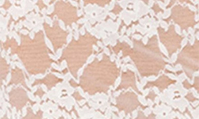 Edikted Women's Addison Sheer Lace Two Piece Top In White