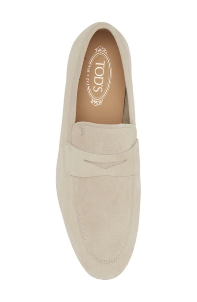 Shop Tod's Mocassino Penny Loafer In Mastice