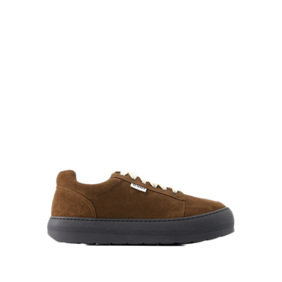 Shop Sunnei Sneakers Dreamy - Leather - Chocolate In Brown