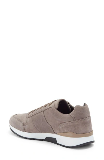 Shop Bruno Magli Brian Sneaker In Grey Suede
