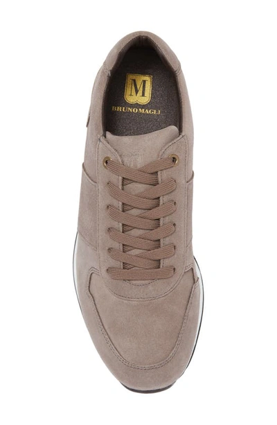 Shop Bruno Magli Brian Sneaker In Grey Suede
