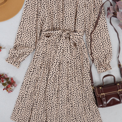 Shop Anna-kaci Animal Print Long Sleeve Dress In Brown