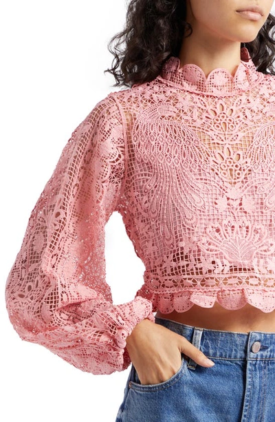 Shop Farm Rio Guipure Lace Long Sleeve Crop Top In Blush Pink