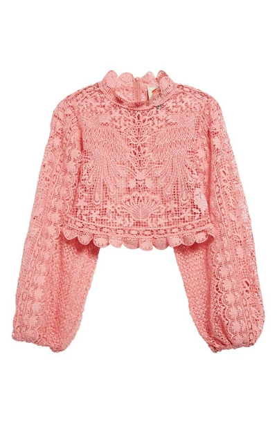 Shop Farm Rio Guipure Lace Long Sleeve Crop Top In Blush Pink