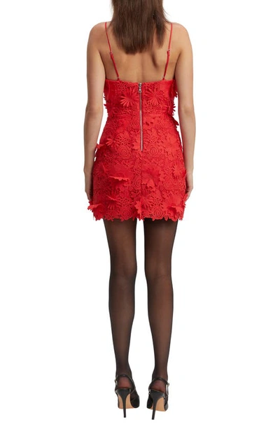 Shop Bardot Brias Lace Minidress In Fire Red