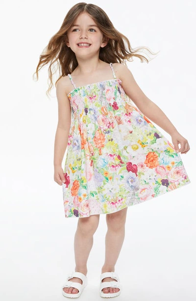 Shop Alice And Olivia Kids' Sully Floral Smocked Cotton Babydoll Dress In Dawn Floral