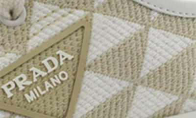 Shop Prada Triangle Jacquard Low Top Sneaker In Beige/ White