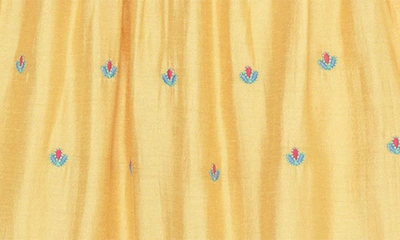 Shop Peek Aren't You Curious Kids' Viney Shiffli Embroidered Dress In Orange