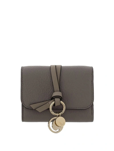 Shop Chloé Wallets In Cashmere Grey