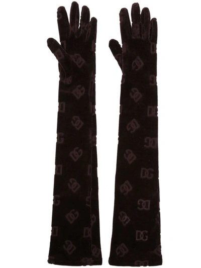 Shop Dolce & Gabbana Logo Gloves Accessories In Brown