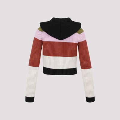 Shop Etro Hoodie Sweater In Multicolour