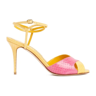 Shop Manolo Blahnik Mumbi Sandal Shoes In Yellow & Orange