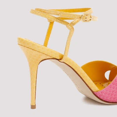 Shop Manolo Blahnik Mumbi Sandal Shoes In Yellow & Orange