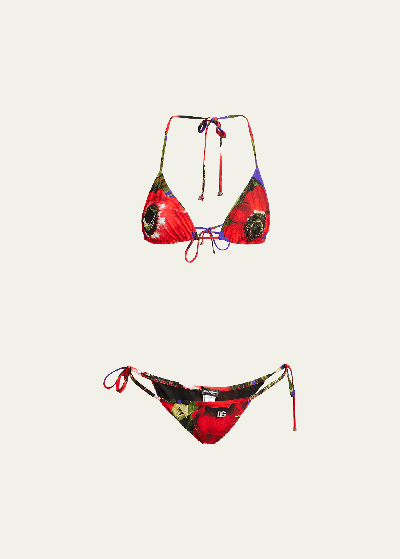 Shop Dolce & Gabbana Flower Power Two-piece Triangle Bikini Set In Anemoni Fdo Viola