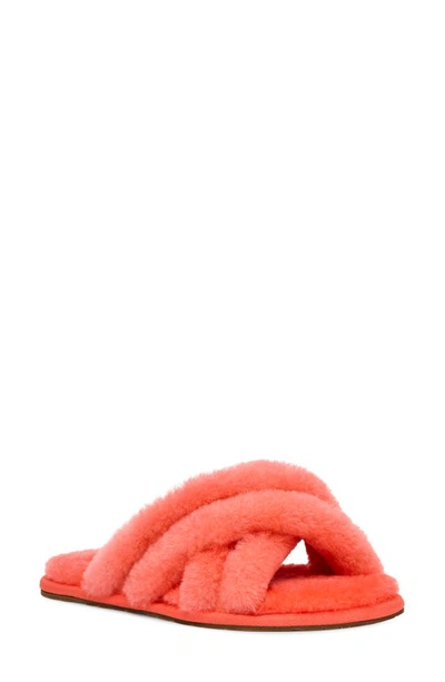 Shop Ugg Scuffita Genuine Shearling Slide Slipper In Vibrant Coral / Pink Lotus