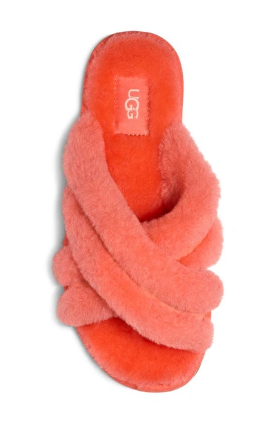 Shop Ugg Scuffita Genuine Shearling Slide Slipper In Vibrant Coral / Pink Lotus