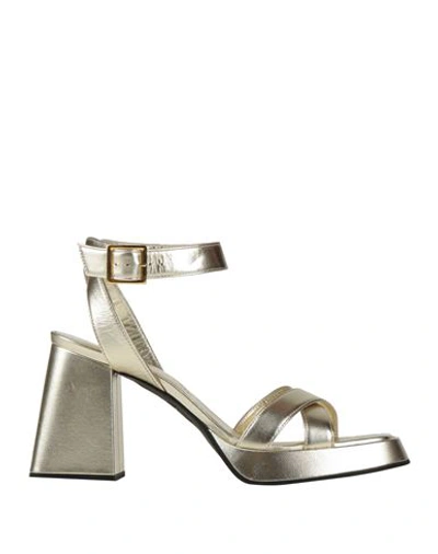 Shop Giampaolo Viozzi Woman Sandals Gold Size 7 Sheepskin