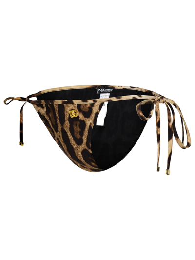 Shop Dolce & Gabbana Brown Polyamide Blend Bikini Bottoms Woman