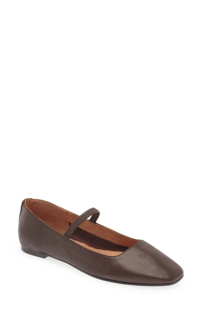 Shop Madewell The Greta Ballet Flat In Chocolate Raisin