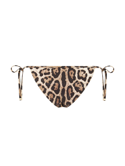 Shop Dolce & Gabbana Bikini Bottoms With Iconic Leopard Print In Brown
