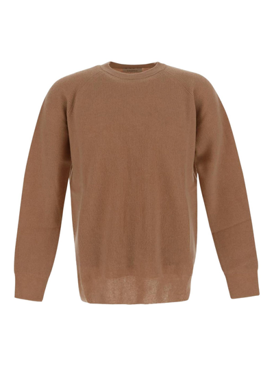 Shop Laneus Sweater Brown