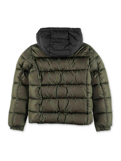 Shop Save The Duck Boy Padded Jacket In Green