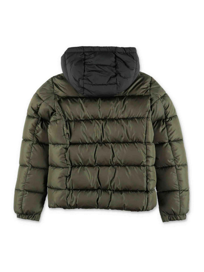 Save The Duck Boy Padded Jacket In Green