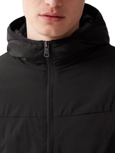 Shop Colmar Originals Padded Logo Jacket In Black