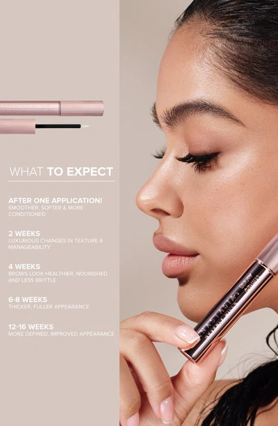Anastasia Beverly Hills Brow Care Kit ($49 Value) In Taupe