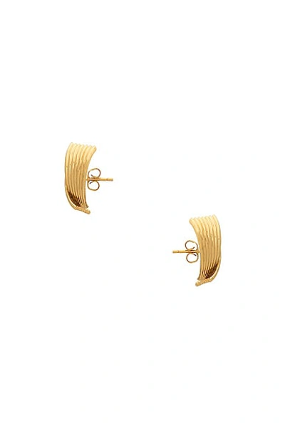 Shop Aureum Vienna Earrings In Gold Plated Brass