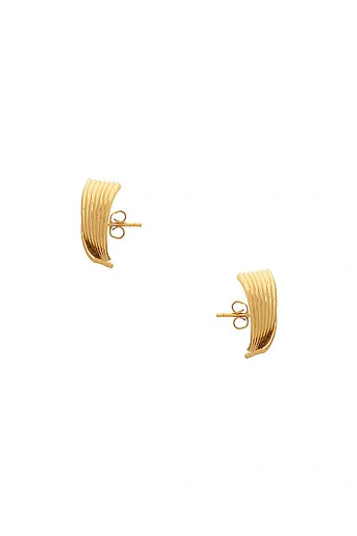 Aureum Vienna Earrings In Gold Plated Brass