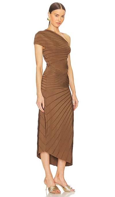 Shop Cult Gaia Lurenz Knit Midi Dress In Brown