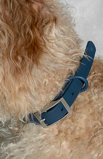 Shop Wild One All-weather Dog Collar In Navy