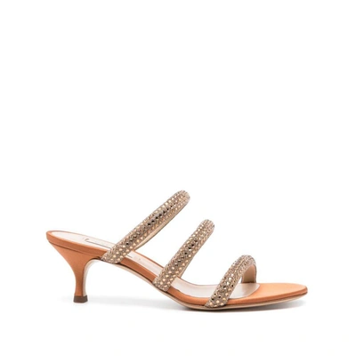 Shop Casadei Shoes In Brown/gold