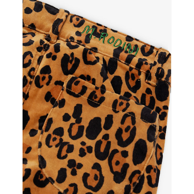 Shop Mini Rodini Girls Brown Kids Logo-embroidered Leopard-print Stretch-cotton Trousers 3-11 Years
