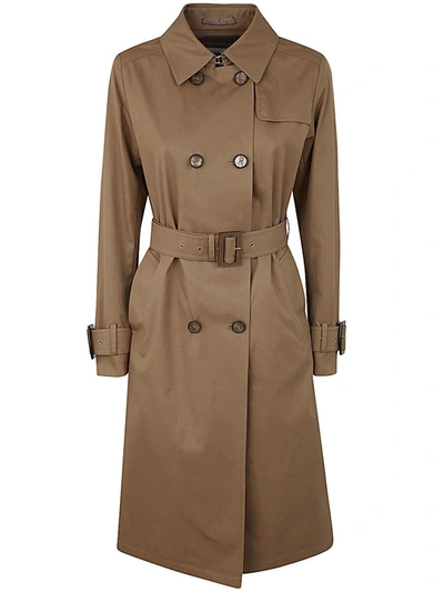 Shop Herno Trench Clothing In Brown