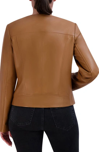 Shop Cole Haan Signature Asymmetric Leather Jacket In Hazelnut